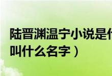 陆晋渊温宁小说是什么名字（陆晋渊温宁小说叫什么名字）