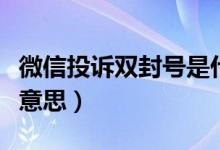 微信投诉双封号是什么（微信举报双封号什么意思）