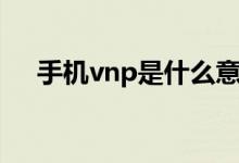 手机vnp是什么意思（手机vnp是什么）