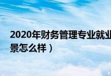 2020年财务管理专业就业前景（2022财务管理专业就业前景怎么样）