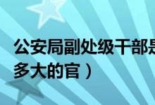 公安局副处级干部是多大的官（副处级干部是多大的官）