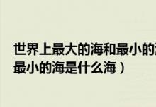 世界上最大的海和最小的海分别是什么（世界上最大的海和最小的海是什么海）