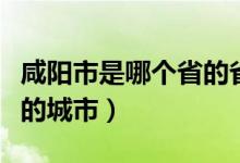 咸阳市是哪个省的省会城市（咸阳市是哪个省的城市）