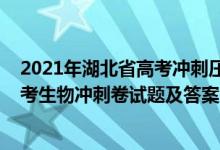 2021年湖北省高考冲刺压轴卷生物学试卷（2022湖北省高考生物冲刺卷试题及答案）