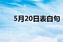 5月20日表白句（5月20日表白文案）