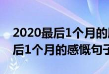 2020最后1个月的朋友圈文案说说（2020最后1个月的感慨句子）