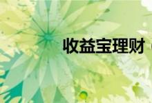 收益宝理财（收益宝是什么）