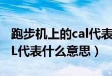 跑步机上的cal代表什么意思（跑步机上的CAL代表什么意思）