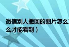 微信别人撤回的图片怎么才能找回（微信别人撤回的图片怎么才能看到）