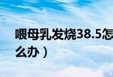 喂母乳发烧38.5怎么办（发烧38.5喂奶了怎么办）