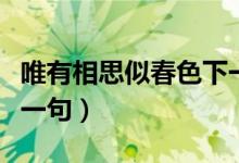 唯有相思似春色下一句是（唯有相思似春色下一句）