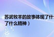 苏武牧羊的故事体现了什么样的精神（苏武牧羊的故事体现了什么精神）