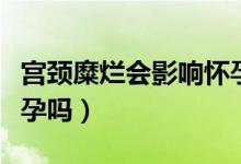 宫颈糜烂会影响怀孕初期（宫颈糜烂会影响怀孕吗）