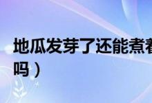 地瓜发芽了还能煮着吃吗（地瓜发芽了还能吃吗）