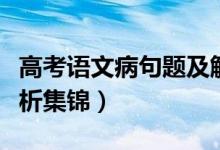 高考语文病句题及解析（高考语文病句题及解析集锦）