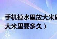 手机掉水里放大米里多长时间（手机掉水里放大米里要多久）