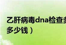 乙肝病毒dna检查多少钱（乙肝病毒dna检查多少钱）