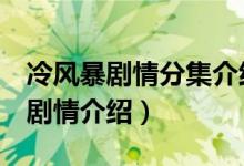 冷风暴剧情分集介绍（电视剧冷风暴1-5集的剧情介绍）