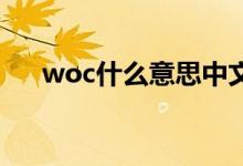 woc什么意思中文（woc什么意思 包）