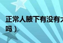 正常人腋下有没有大汗腺（正常人腋下有味道吗）