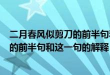 二月春风似剪刀的前半句和这一句的意思（二月春风似剪刀的前半句和这一句的解释）