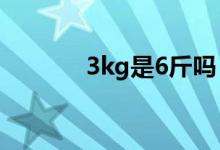 3kg是6斤吗（3Kg是多少斤）