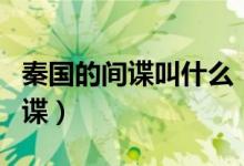 秦国的间谍叫什么（苏秦到底是哪个国家的间谍）