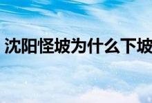 沈阳怪坡为什么下坡难（沈阳怪坡为什么怪）