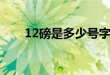 12磅是多少号字体（12磅是几千克）