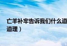 亡羊补牢告诉我们什么道理8个字（亡羊补牢告诉我们什么道理）