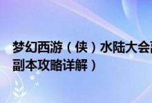 梦幻西游（侠）水陆大会副本攻略（梦幻西游侠士水陆大会副本攻略详解）