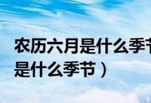 农历六月是什么季节人们要干什么（农历六月是什么季节）