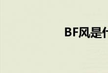 BF风是什么风格不懂