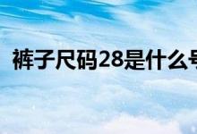 裤子尺码28是什么号（裤子尺码28是多大）