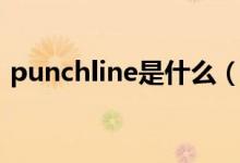 punchline是什么（punchline是什么意思）