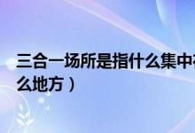 三合一场所是指什么集中在一起的场所（三合一场所是指什么地方）