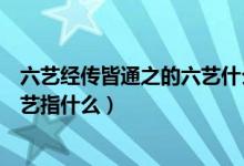 六艺经传皆通之的六艺什么意思（六艺经传皆通习之中的六艺指什么）