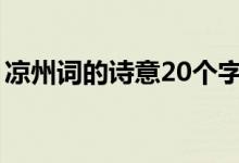 凉州词的诗意20个字（凉州词的诗意是什么）