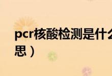 pcr核酸检测是什么（pcr核酸检测是什么意思）