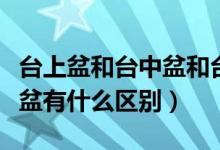 台上盆和台中盆和台下盆区别（台中盆和台下盆有什么区别）