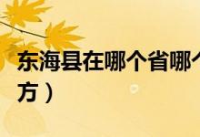 东海县在哪个省哪个市（山东东海县是什么地方）