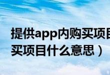 提供app内购买项目什么意思（提供app内购买项目什么意思）