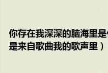 你存在我深深的脑海里是什么歌（你存在我深深的脑海里是是来自歌曲我的歌声里）