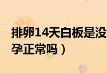 排卵14天白板是没怀（排卵14天白板17天怀孕正常吗）