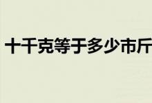 十千克等于多少市斤（十千克等于多少公斤）