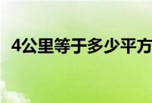 4公里等于多少平方米（4公里等于多少步）