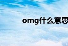 omg什么意思（omg什么意思）