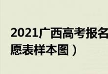 2021广西高考报名表模板（广西高考2022志愿表样本图）