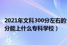 2021年文科300分左右的公办专科大学（2022高考文科300分能上什么专科学校）