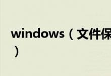 windows（文件保护介绍 了解功能工作方式）